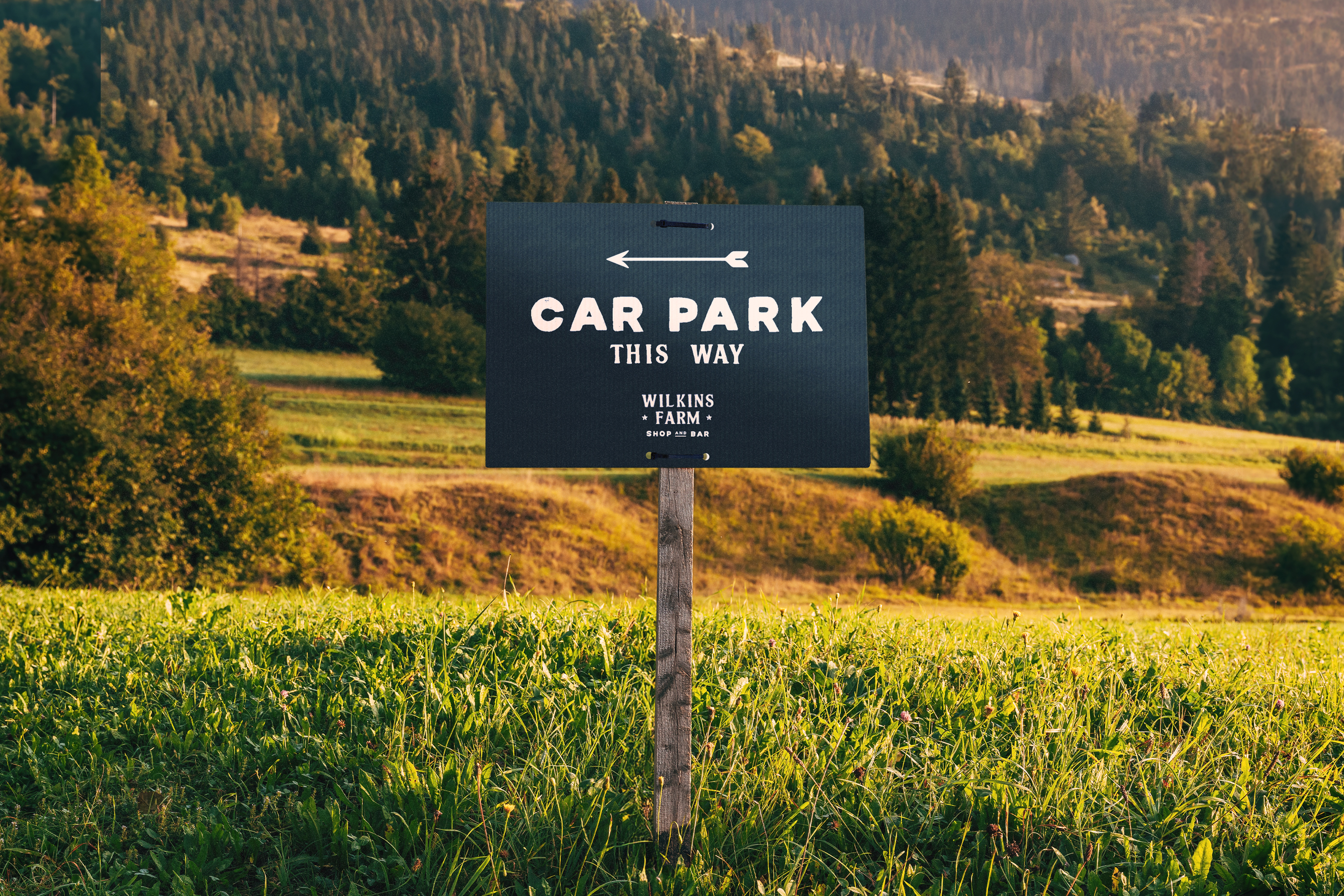 Custom Shape Signs